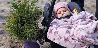 Wielkie sadzenie drzew w Biłgoraju na Międzynarodowy Dzień Lasów