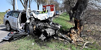 Skoda uderzyła w przydrożne drzewo. 50-latek z powiatu biłgorajskiego w szpitalu