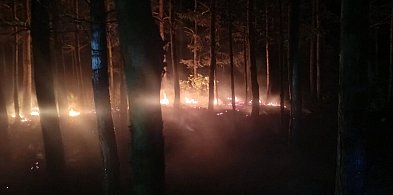 Nocna walka z ogniem w Księżpolu. Las znów stanął w płomieniach