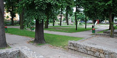 Zmieni się obraz parku w centrum Biłgoraja-56271