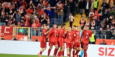 Polska - Nowa Zelandia 1:0 w towarzyskim meczu piłkarskim-56931