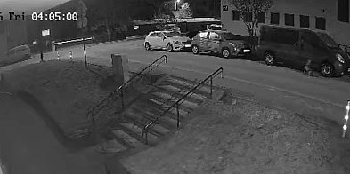 Czy rozpoznajesz te psy? (VIDEO)