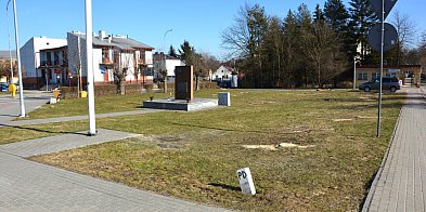 18 drzew ustępuje miejsca nowym nasadzeniom