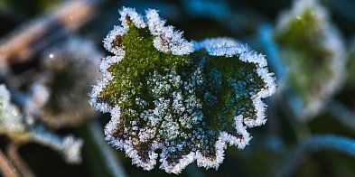 Ostrzeżenie pierwszego stopnia dla Biłgoraja i okolic