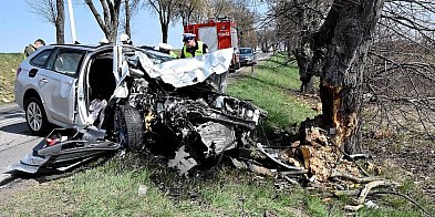 Skoda uderzyła w przydrożne drzewo. 50-latek z powiatu