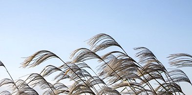 Ostrzeżenie pierwszego stopnia dla Biłgoraja