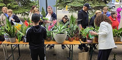 Biłgorajskie serca w rozkwicie! Kiermasz dla Adasia