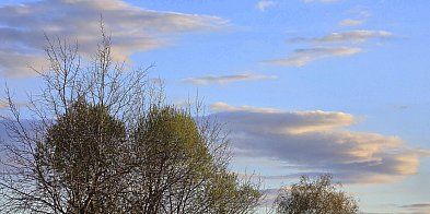 Pogoda na majówkę 2026 w Biłgoraju. Co nas czeka?