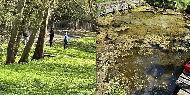 Wielkie sprzątanie w Górecku Starym