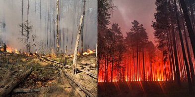 Tragedia pod Biłgorajem. Podsumowanie, co wiemy?