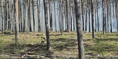 Józefów. Są dobre informacje z rejonu pożaru