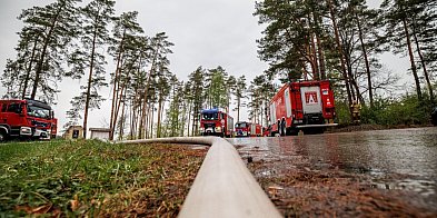 Walka w Puszczy Solskiej trwa