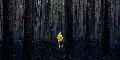 Pożar w Puszczy Solskiej opanowany