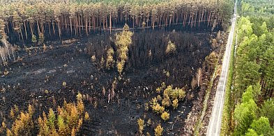 Pożar pod ziemią: Dogaszanie Puszczy Solskiej