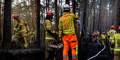 Dogaszanie pożaru w Puszczy Solskiej