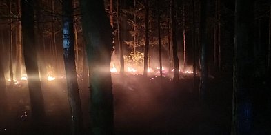 Kolejny pożar lasu. Strażacy w akcji w Księżpolu