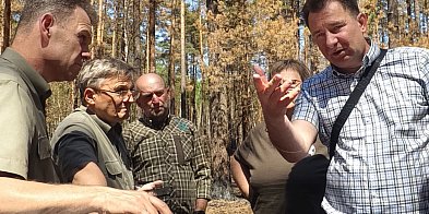 Ratunek dla Puszczy Solskiej. Naukowcy w akcji