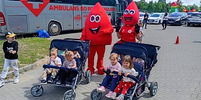 Akcja krwiodawstwa i teatr we Frampolu