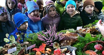Jadalne czy trujące? PSSE Biłgoraj ostrzega i edukuje w sprawie grzybów (FOTO)-56886