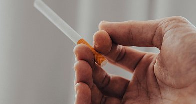 Zmiana w przepisach o ochronie zdrowia może uderzyć w tysiące polskich plantatorów-58325