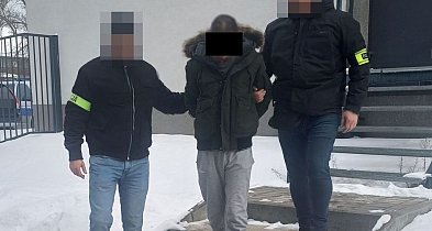 Zlikwidowana nielegalna plantacja marihuany. 41-latek tymczasowo aresztowany VIDEO