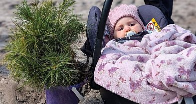 Wielkie sadzenie drzew w Biłgoraju na Międzynarodowy Dzień Lasów