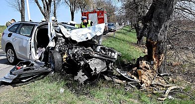 Skoda uderzyła w przydrożne drzewo. 50-latek z powiatu biłgorajskiego w szpitalu