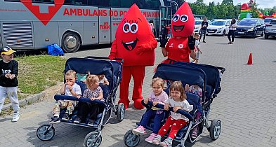 Nauczyciele na scenie, krwiobus pod szkołą. Sukces we Frampolu