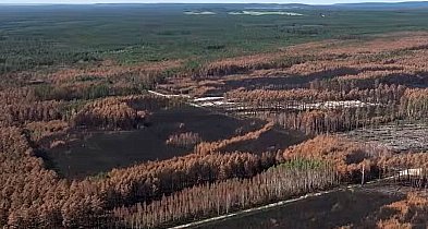 Ponad 1000 ha spalonego lasu. Co dalej z Puszczą Solską? (VIDEO)