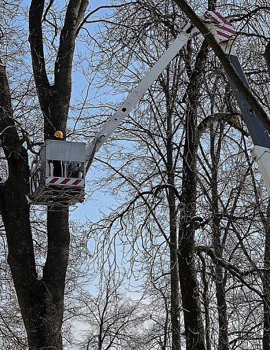 Trwa rewitalizacja Skweru Saskiego (FOTO)