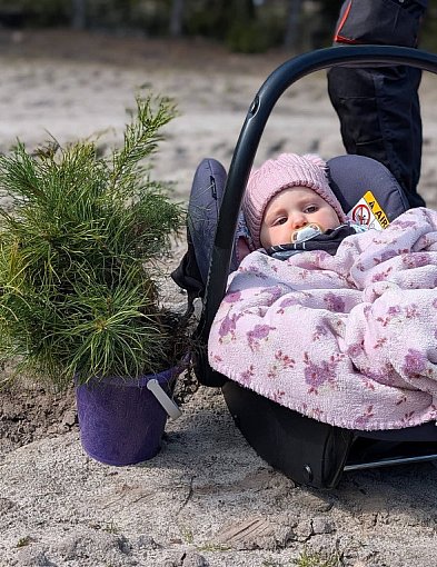 Wielkie sadzenie drzew w Biłgoraju na Międzynarodowy Dzień Lasów