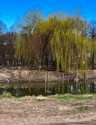 Zielona rewolucja w Biłgoraju: Ponad 10 mln zł na parki i skwery