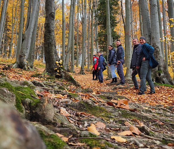 W drobnych gestach tkwi siła-58148