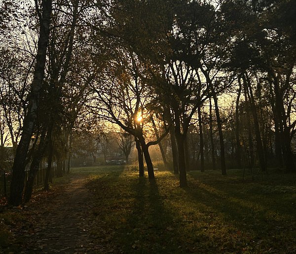 Nadchodzi najkrótszy dzień w 2025 roku. Sprawdź, kiedy przypadnie-59432