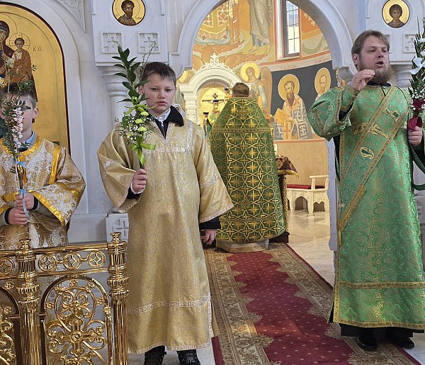 Niedziela Wierzbna u prawosławnych (FOTO)