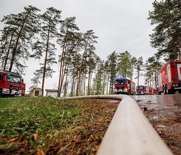 Wiceminister MSWiA: Pożar w Puszczy Solskiej wciąż groźny