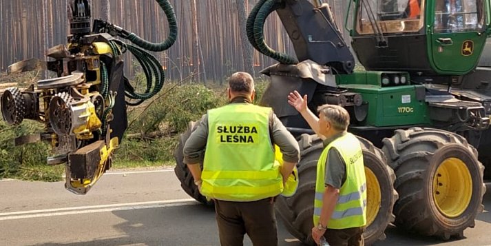 Krajobraz po katastrofie. Lasy Państwowe ratują Puszczę Solską