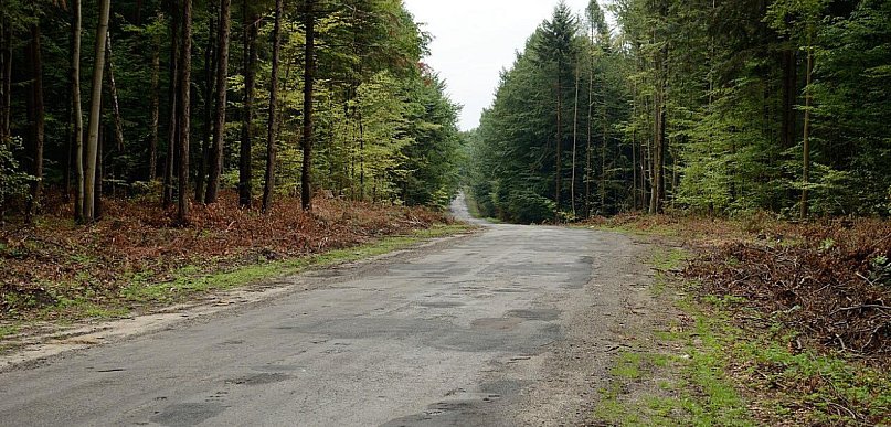 Inwestycyjny rok 2026: Gmina Biłgoraj buduje drogi za ponad 5 mln zł