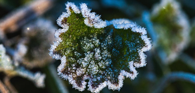 Ostrzeżenie pierwszego stopnia dla Biłgoraja i okolic
