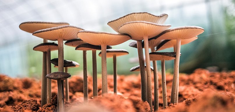 Nietypowe hobby, które możesz zacząć w domu