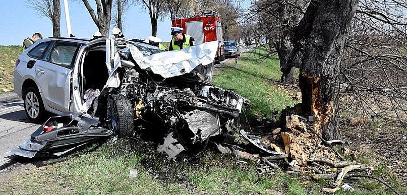 Skoda uderzyła w przydrożne drzewo. 50-latek z powiatu biłgorajskiego w szpitalu