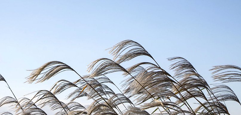 Ostrzeżenie pierwszego stopnia dla Biłgoraja i dla okolic