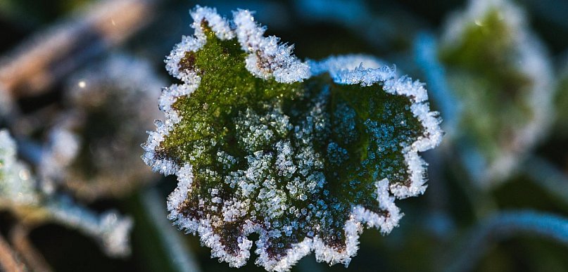 Ostrzeżenie pierwszego stopnia dla Biłgoraja i okolic