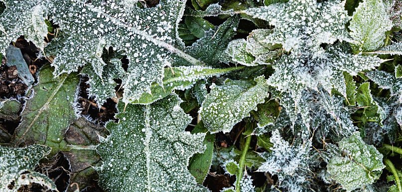 Ostrzeżenie pierwszego stopnia dla Biłgoraja i okolic