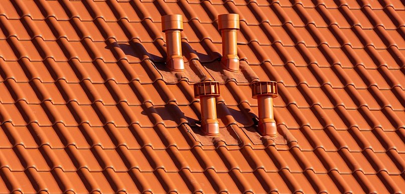 Czy po szkodach od kuny trzeba naprawiać cały dach? Nie zawsze, ale trzeba wiedzie