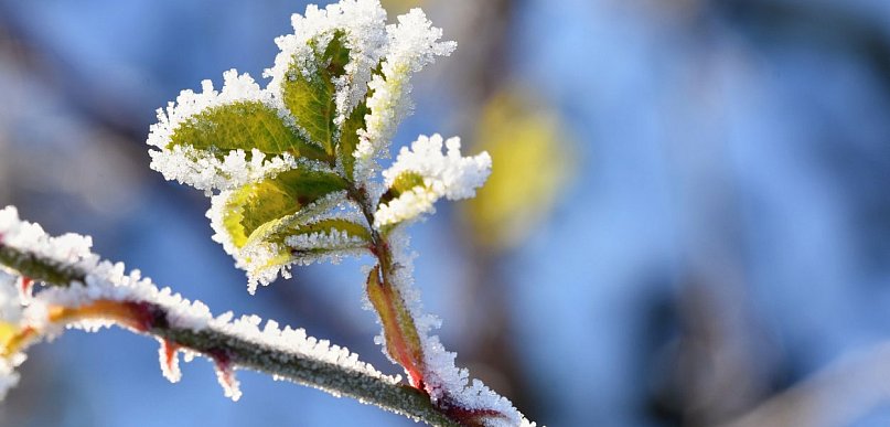 Kto myślał, że wiosna na stałe się u nas zadomowiła, zdziwi się