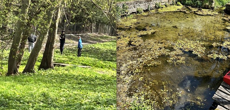 Strażacy, KGW i mieszkańcy Górecka Starego wspólnie posprzątali okolicę