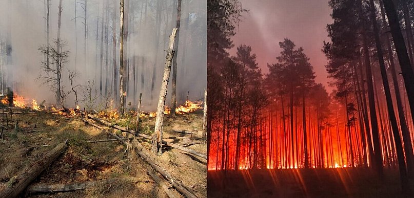 Tragedia pod Biłgorajem. Podsumowanie tego co wiemy o pożarze i katastrofie