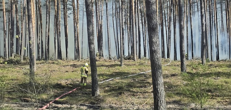 Józefów. Są dobre informacje z rejonu pożaru pożar "opanowany"