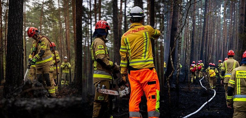 Puszcza Solska: 500 strażaków i drony w walce z ukrytym ogniem w gm. Łukowa